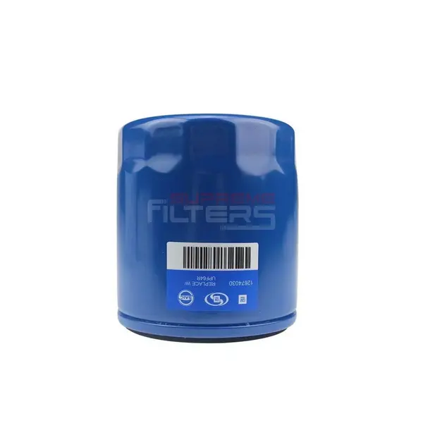MG Hs Oil Filter