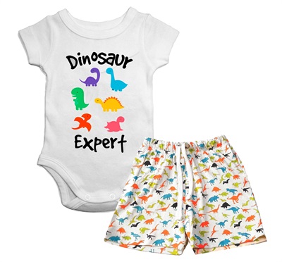 Dino Expert Set