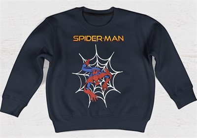 SPIDERMAN WEB