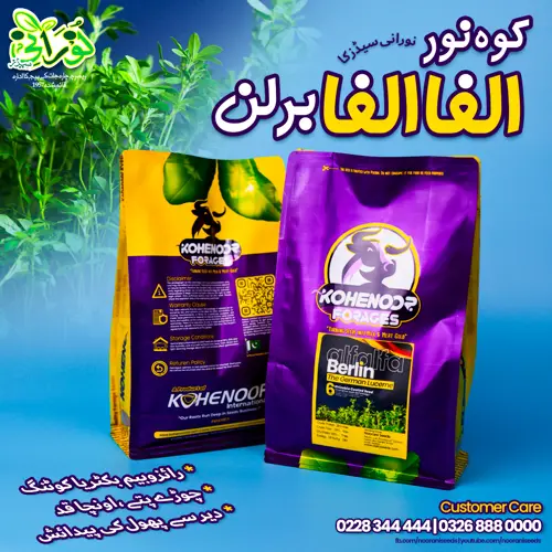Kohenoor Alfalfa Belrin German Lucerne 1Kg Seed Bag - کوہ نور برلن الفاالفا جرمن لوسن ایک کنال کیلئے