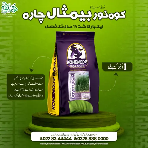Kohenoor Baymisaal Grass 1 Acer Seed Bag - کوہ نور بیمثال چارہ ایک ایکڑکیلئے