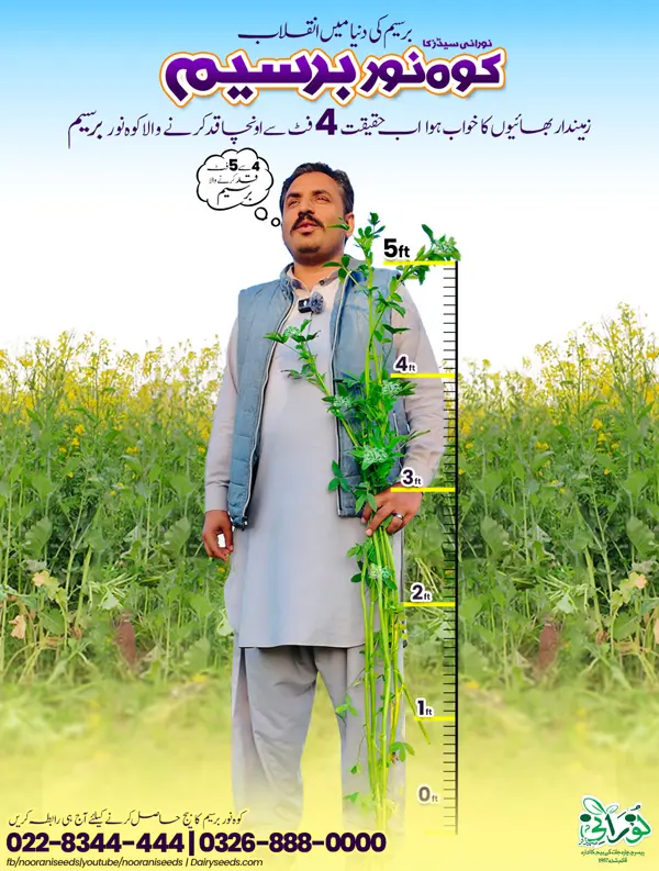 Kohenoor Berseem (Rhizobium Bacteria Coated Seeds) 5KG   کوہ نور بسیم آدھا ایکڑ کیلئے