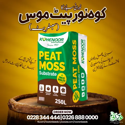 Peat Moss Substrate 250L