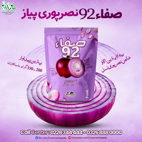 Safa 92 Onion Seeds (Nasarpuri) - صفا 92 نصرپوری پیاز کا بیج