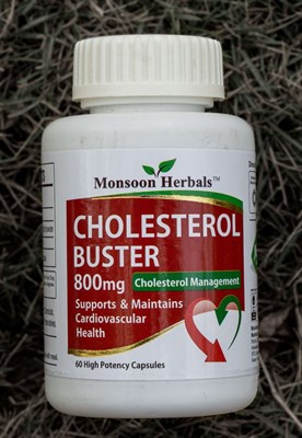 Cholesterol Buster