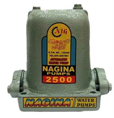 Nagina Piston Pumps Head