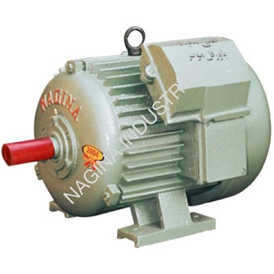 Nagina Electric Motor 2HP