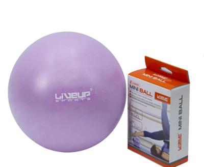LIVE UP EXERCISE MINI BALL LS-3225 20-CM