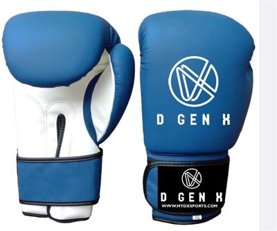 DX Boxing Gloves 