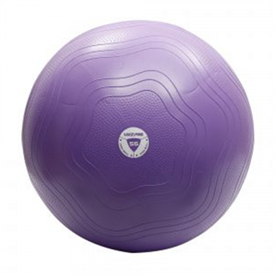 LivePro Anti Burst Core Fit Gym Ball - 55 cm