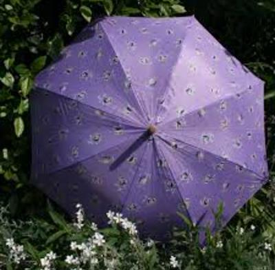 Floral design Umbrella