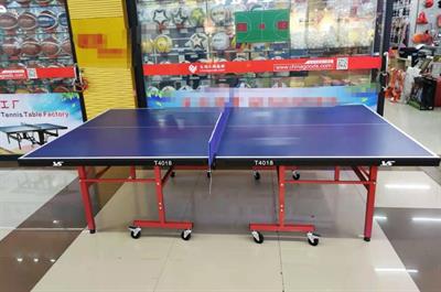 VS T4018 Professional Table Tennis Table