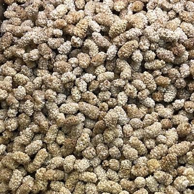 DRIED MULBERRY KABALI (Shahtoot) -500g- 1kg  شہتوت -Buy Mulberry (Shahtoot) Online 