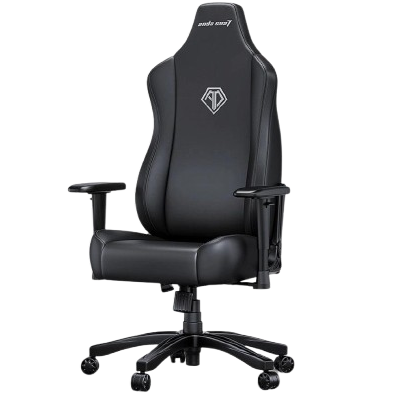 AndaSeat Novis L Series Best Budget Ergonomic Gaming Chair, Premium PVC Leather, Elegant Black