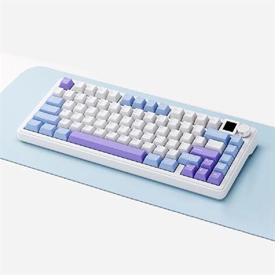 Sama Xinmeng M75 Pro Customized Mechanical Keyboard Tri-Mode Wireless Bluetooth Gasket Hot Swappable TFT Screen RGB for Win/Mac (White Blue, Rocket Racoon Switch)