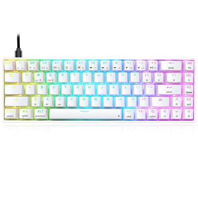 Skyloong GK68 SK68 68-Key Wireless Mechanical Gaming Keyboard, Bluetooth/2.4GHz/USB-C, Mini Compact RGB Illuminated LED Backlit Programmable, for PC/Mac Gamer - White