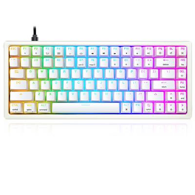 Skyloong GK84 SK84 80% Wireless Mechanical Gaming Keyboard, Bluetooth/2.4GHz/USB-C, RGB Illuminated LED Backlit Programmable, for PC/Mac Gamer - White