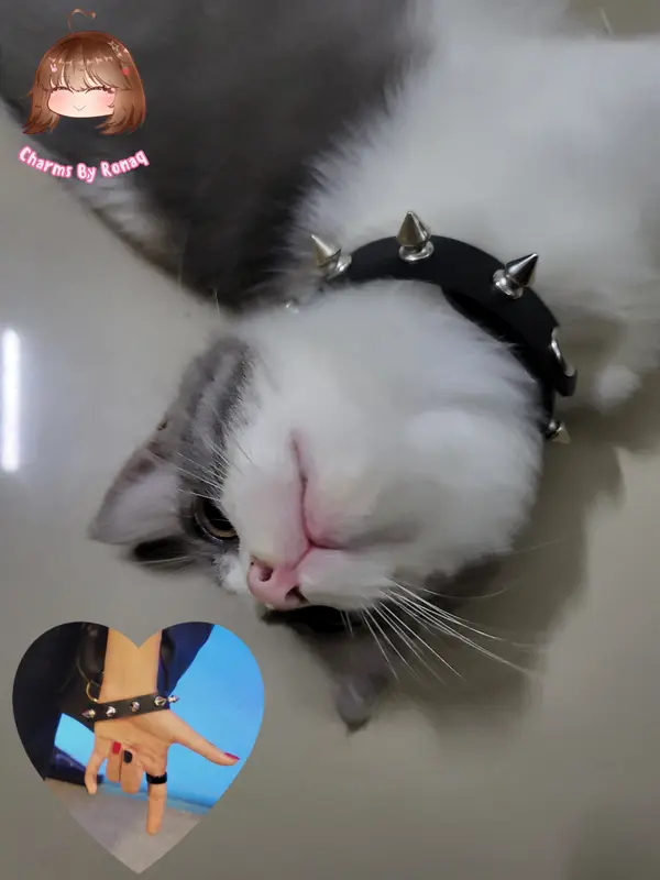 Emo Spiky Rad Black Bracelet Cat Necklace