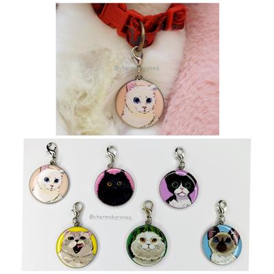 Cat Collar Charm