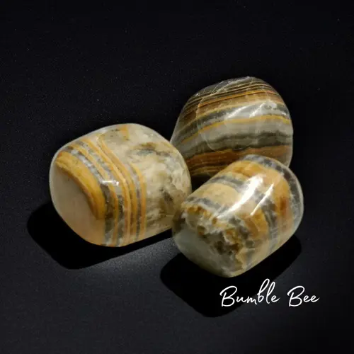 BumbleBee Jasper- 50gms