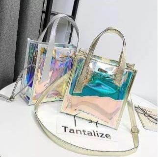 Strapknot Transparent Handbags