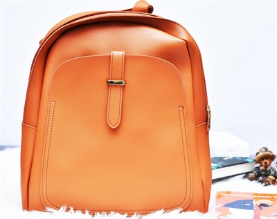 Back Pack Brown Strap Lock