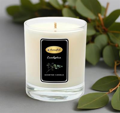 Eucalyptus Scented Candle in Glass Jar