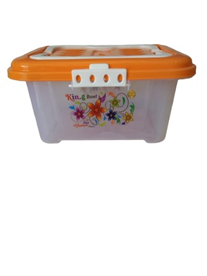 Rectangular Plastic Food Storage Container Fridge Box