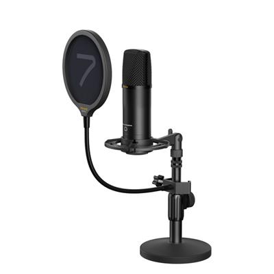 7Ryms AX100D Microphone (XLR)