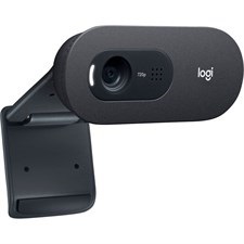 Logitech C505 HD Webcam