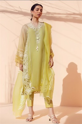 Floral Embroidered Silk Net Suit - NF-D1