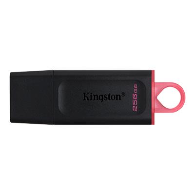 Kingston 256GB DataTraveler Exodia 3.2 USB Flash Drive