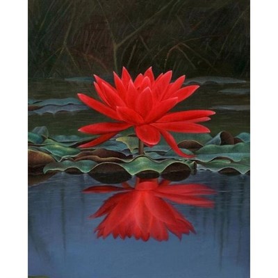 Rare Red Water Lotus Seeds