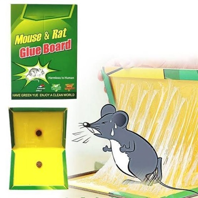 Mouse Rat Glue Board (Pack of 4)