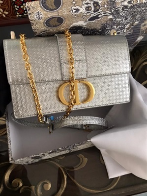 Dior Silver metallic  25cm bag