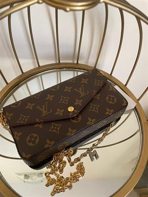 LV Félicie Pochette Canvas monogram mini bag 21cm 