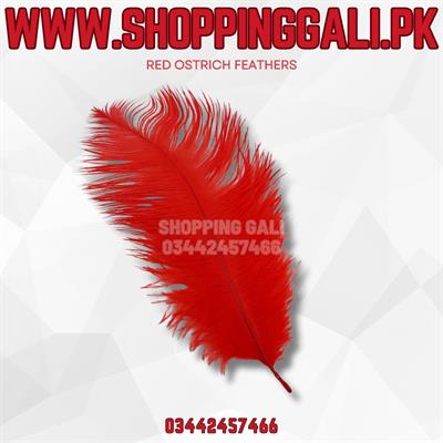 RED COLOR OSTRICH FEATHER ( PACK OF 10 FEATHERS )