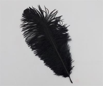 BLACK COLOR OSTRICH FEATHER ( PACK OF 10 FEATHERS )