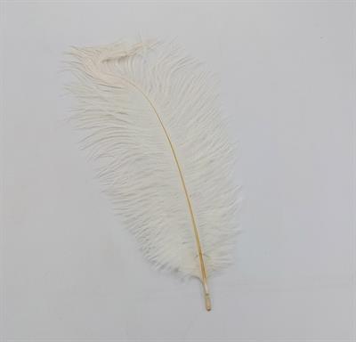 WHITE COLOR OSTRICH FEATHER ( PACK OF 10 FEATHERS )