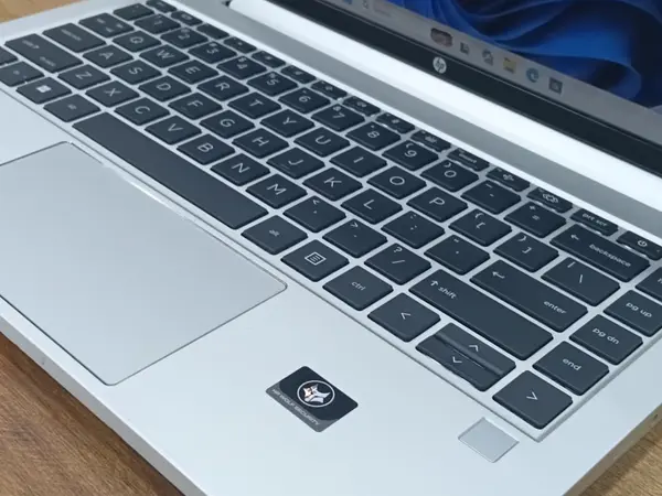 HP ProBook 445 G8 Ryzen 5 5600U NoteBook PC