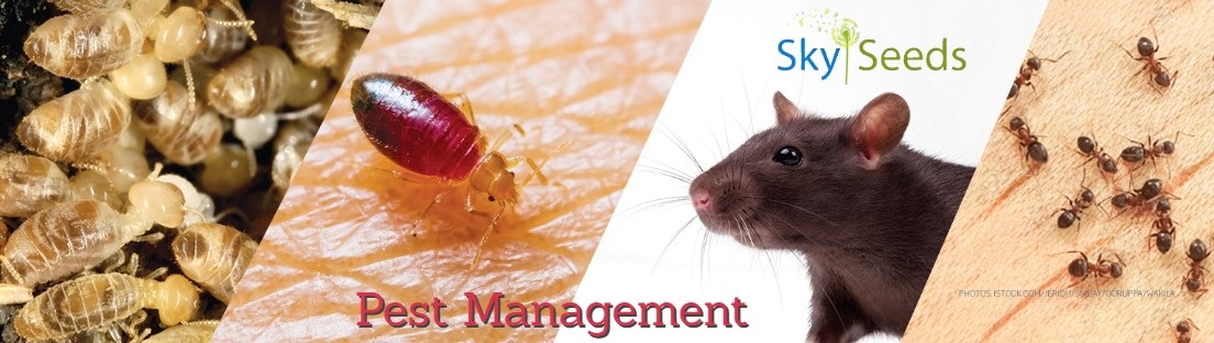 Pest Management 