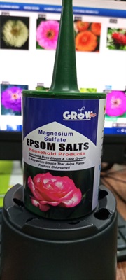 Epsom Salts 100 gm 