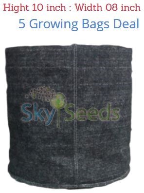 Grow Bags Fabric  5 Bags Deal  08 w / 10h