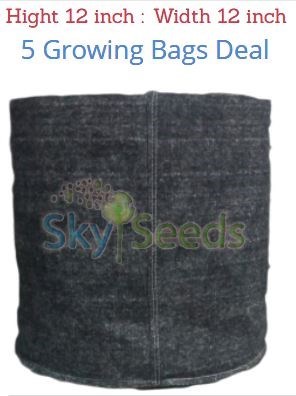 Grow Bags Fabric  5 Bags Deal  12w x 12h