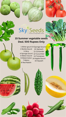 15 op Vegetable Seeds Summer Season Deal 