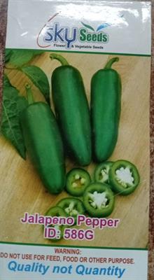 Jalapeno approx.20 Seeds
