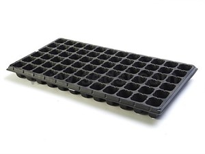 SEEDLING TRAY (72 HOLES) 5 trays deal