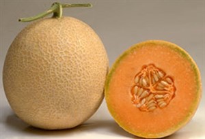 Cantaloupe Melon Hybrid F1 20 seeds 