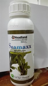 Seamaxx