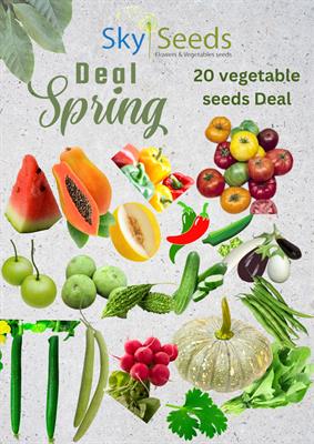 Spring 20 different vegetables seeds packets deal 